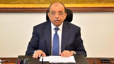 وزير التنمية المحلية