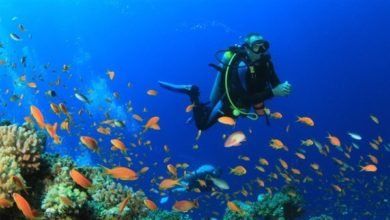 سياحة الغطس