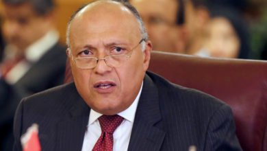 وزير الخارجية، سامح شكري