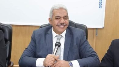 محمود صديق، نائب رئيس الجامعة للدراسات العليا والبحوث