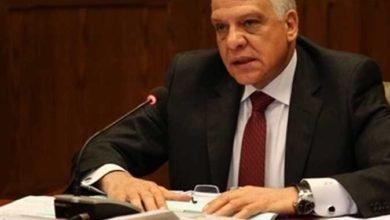 محافظ الجيزة