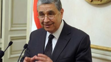 وزير الكهرباء