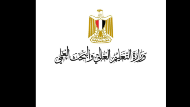 التعليم العالي