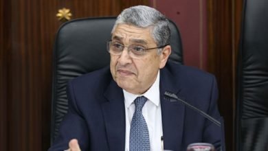 وزير الكهرباء