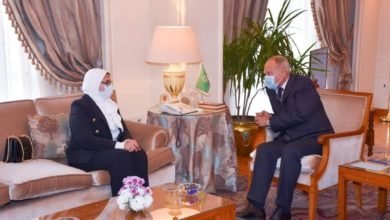 وزيرة الصحة وأبو الغيط