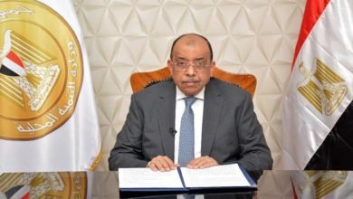 وزير التنمية المحلية