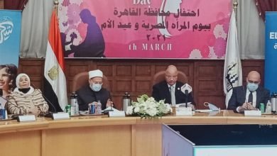 محافظ القاهرة