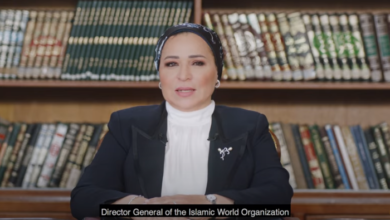 السيدة انتصار السيسي