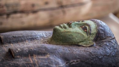 كشف أثري جديد