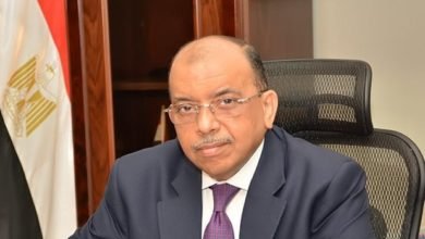 اللواء محمود شعراوى