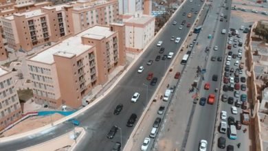 محور الفردوس