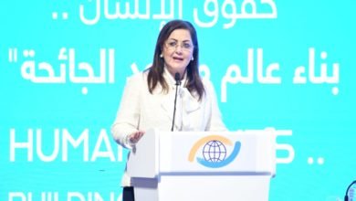 وزيرة التخطيط