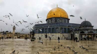 باحات المسجد الأقصى المبارك