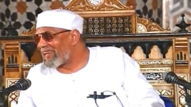 الشيخ الشعراوي