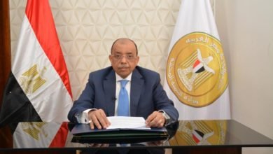 وزير التنمية المحلية