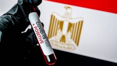 كورونا في مصر