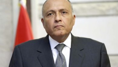 سامح شكري، وزير الخارجية