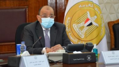 وزير التنمية المحلية