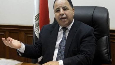 وزير المالية