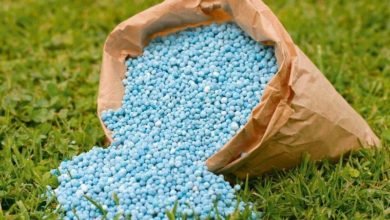 صادرات الأسمدة الآزوتية