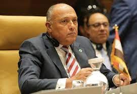 وزير الخارجية ⁧‫سامح شكري