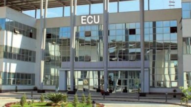 الجامعة المصرية الصينية