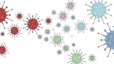 فيروس كورونا