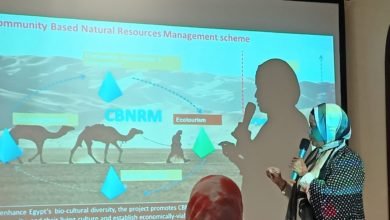 وزارة البيئة