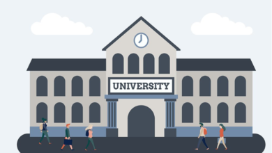 الجامعات الخاصة