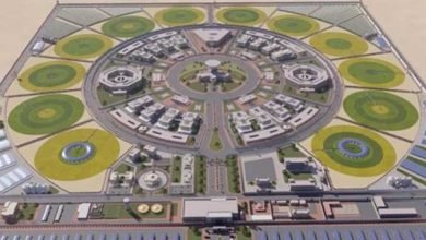 الحق في الحياة