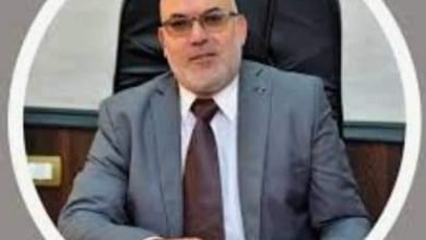 د.حمدي أحمد