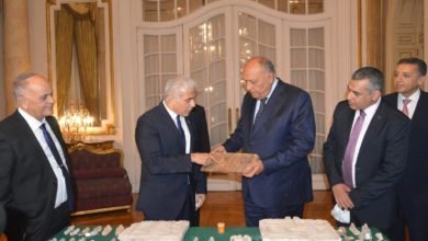 وزير الخارجية