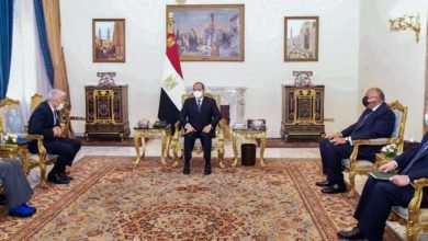 السيسي