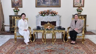 انتصار السيسي